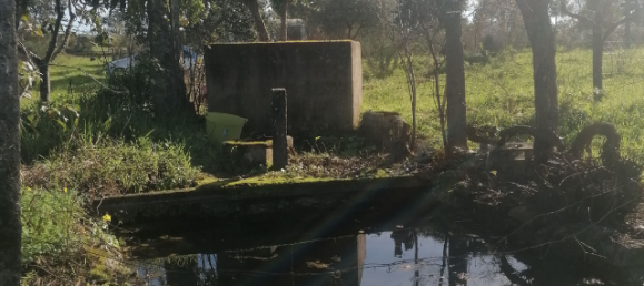  قطعة أرض في Orca, Portugal رقم 250202 3