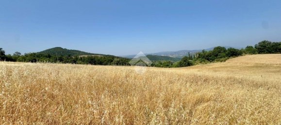 Studio in Valfabbrica, Italy No. 356571 8