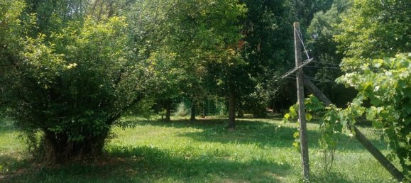 8 chambres Maison à Marcaria, Italy No. 363386 12