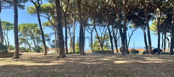 2-salle Appartement à Follonica, Italy No. 269912 28