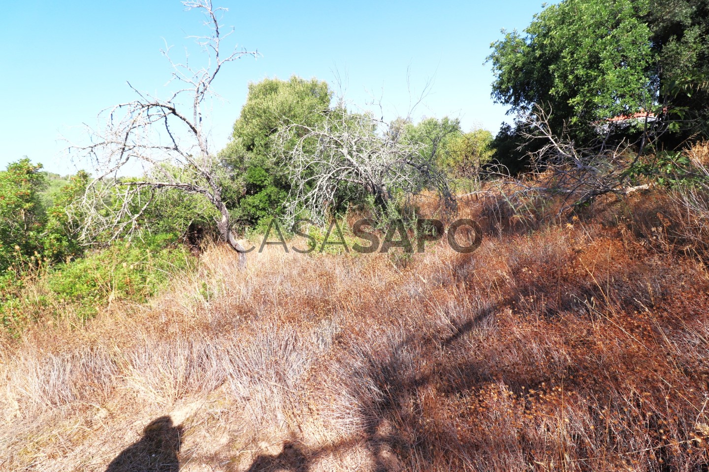  Land in Loule, Portugal No. 298722