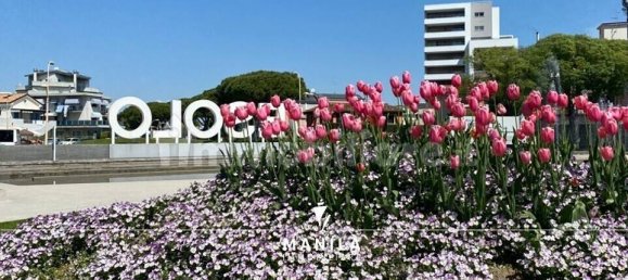 Estudio en Jesolo, Italy No. 260283 17