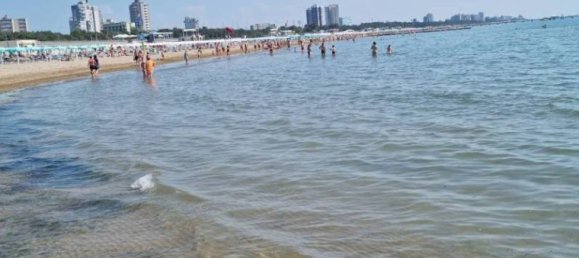 3 bedrooms House in Udine, Italy No. 140527 5