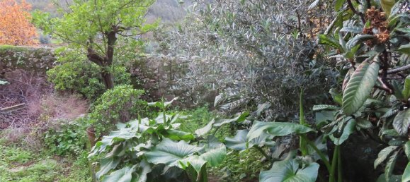 Casa T4 em Louriçal do Campo, Portugal N.º 160591 28