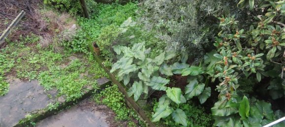 Casa T4 em Louriçal do Campo, Portugal N.º 160591 25