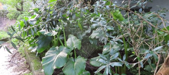 Casa T4 em Louriçal do Campo, Portugal N.º 160591 27