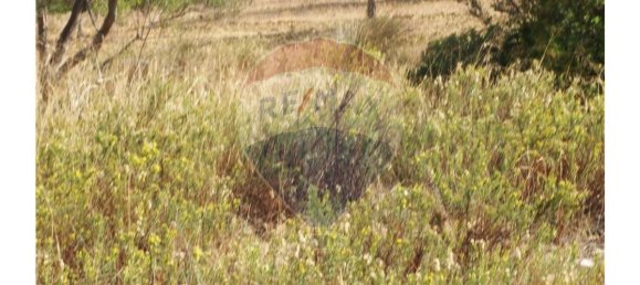 Grundstück in Silves, Portugal 54880m², Nr. 38975 5