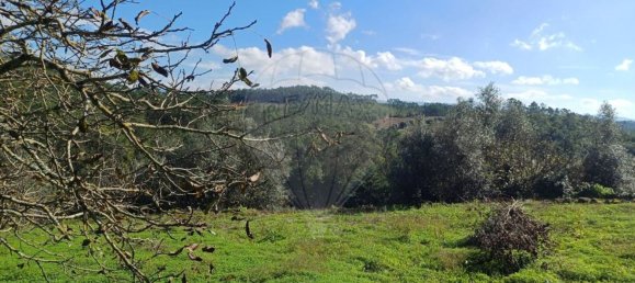 3 Schlafzimmer Haus in Condeixa a Nova, Portugal, Nr. 165870 33