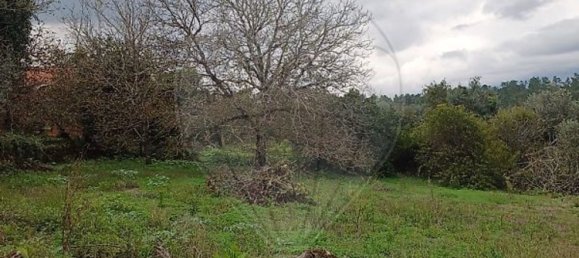 3 Schlafzimmer Haus in Condeixa a Nova, Portugal, Nr. 165870 9