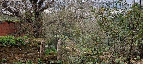 3 Schlafzimmer Haus in Condeixa a Nova, Portugal, Nr. 165870 6