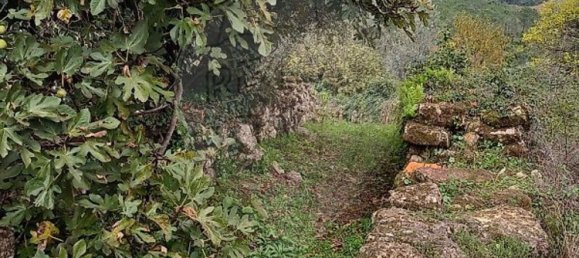 3 Schlafzimmer Haus in Condeixa a Nova, Portugal, Nr. 165870 4