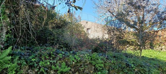 3 Schlafzimmer Haus in Condeixa a Nova, Portugal, Nr. 165870 15