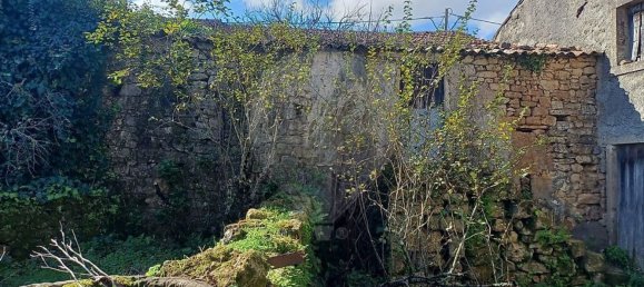 3 Schlafzimmer Haus in Condeixa a Nova, Portugal, Nr. 165870 20