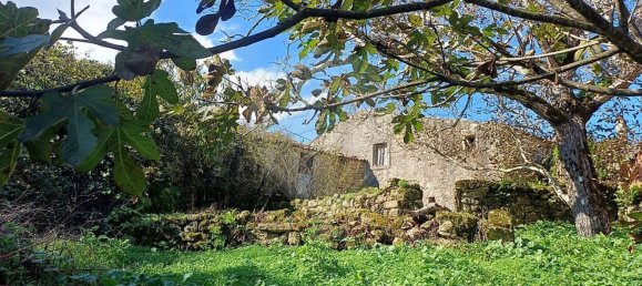 3 Schlafzimmer Haus in Condeixa a Nova, Portugal, Nr. 165870 22