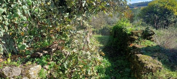 3 Schlafzimmer Haus in Condeixa a Nova, Portugal, Nr. 165870 25