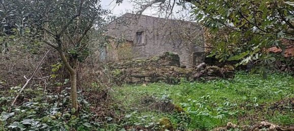 3 Schlafzimmer Haus in Condeixa a Nova, Portugal, Nr. 165870 7