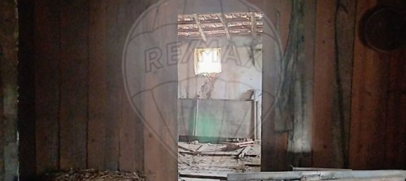 3 Schlafzimmer Haus in Condeixa a Nova, Portugal, Nr. 165870 13