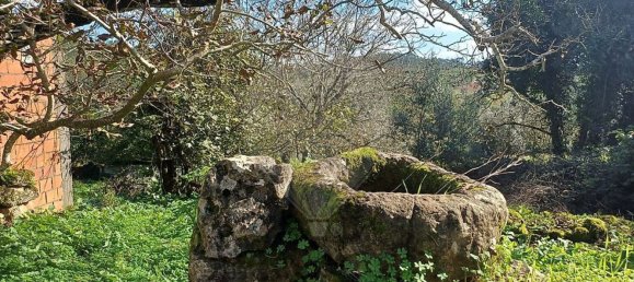 3 Schlafzimmer Haus in Condeixa a Nova, Portugal, Nr. 165870 37