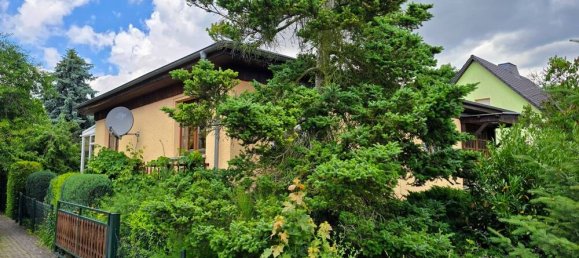 4-salle Bungalow à Spree-Neise, Germany No. 239995 3