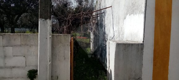 3 Schlafzimmer Haus in Abrantes, Portugal, Nr. 19737 18