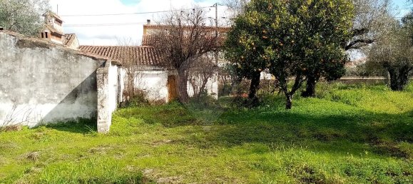 3 Schlafzimmer Haus in Abrantes, Portugal, Nr. 19737 20