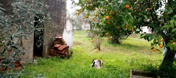 3 Schlafzimmer Haus in Abrantes, Portugal, Nr. 19737 23