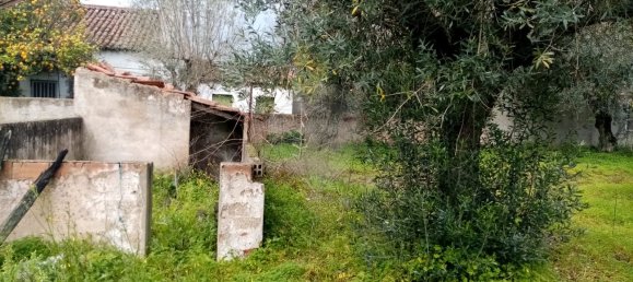 3 Schlafzimmer Haus in Abrantes, Portugal, Nr. 19737 24
