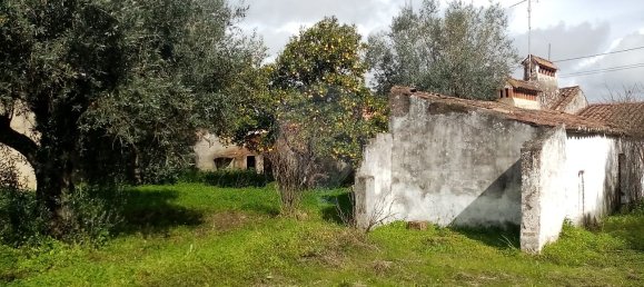 3 Schlafzimmer Haus in Abrantes, Portugal, Nr. 19737 21