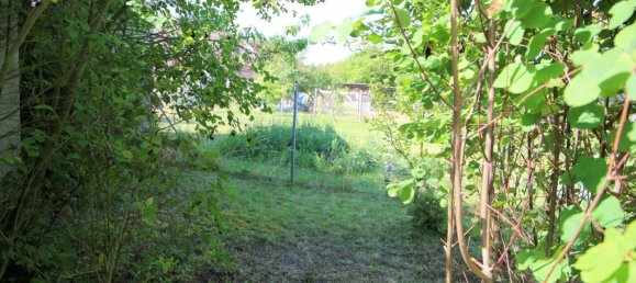 Granja de 4 habitaciónes en Potsdam-Mittelmark, Germany No. 353436 14