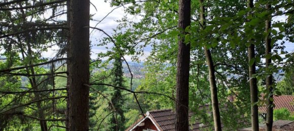  Land in Tubingen, Germany No. 291593 8