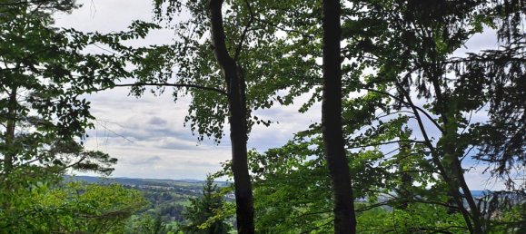  Land in Tubingen, Germany No. 291593 9