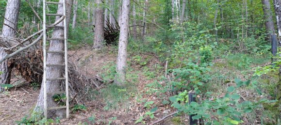  Land in Tubingen, Germany No. 291593 7