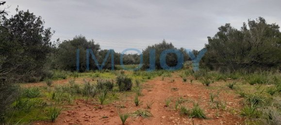 23711m² Land in Silves, Portugal No. 81996 7