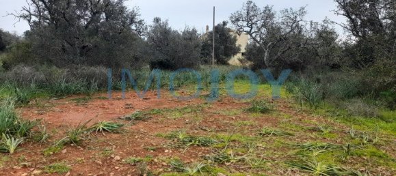 23711m² Land in Silves, Portugal No. 81996 4