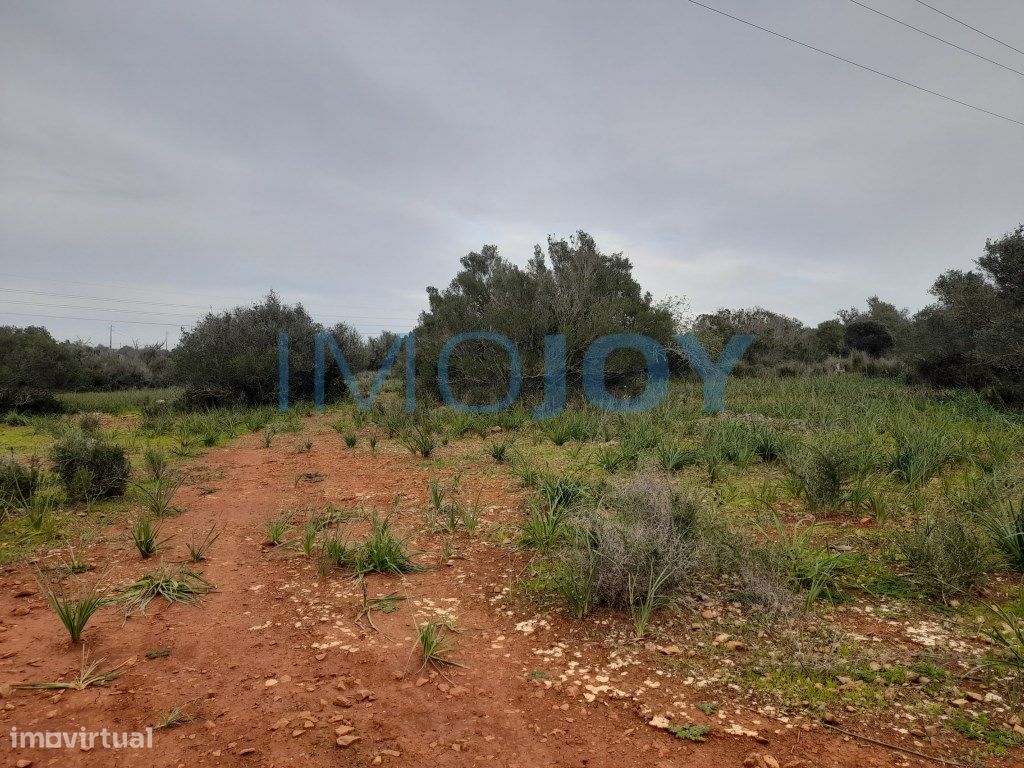 23711m² Land in Silves, Portugal No. 81996