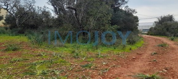23711m² Land in Silves, Portugal No. 81996 3