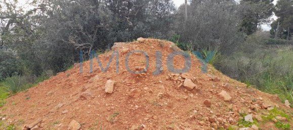 23711m² Land in Silves, Portugal No. 81996 14