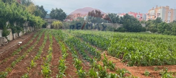 2534m² Land in Vialonga, Portugal No. 64673 5