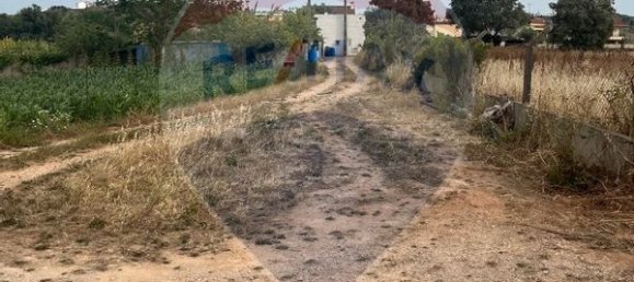 2534m² Land in Vialonga, Portugal No. 64673 6