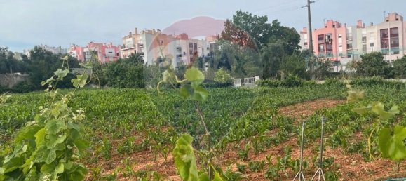 2534m² Land in Vialonga, Portugal No. 64673 8