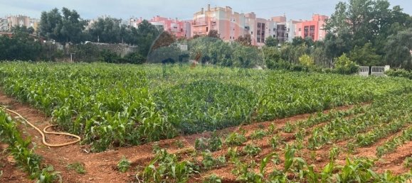 2534m² Land in Vialonga, Portugal No. 64673 4