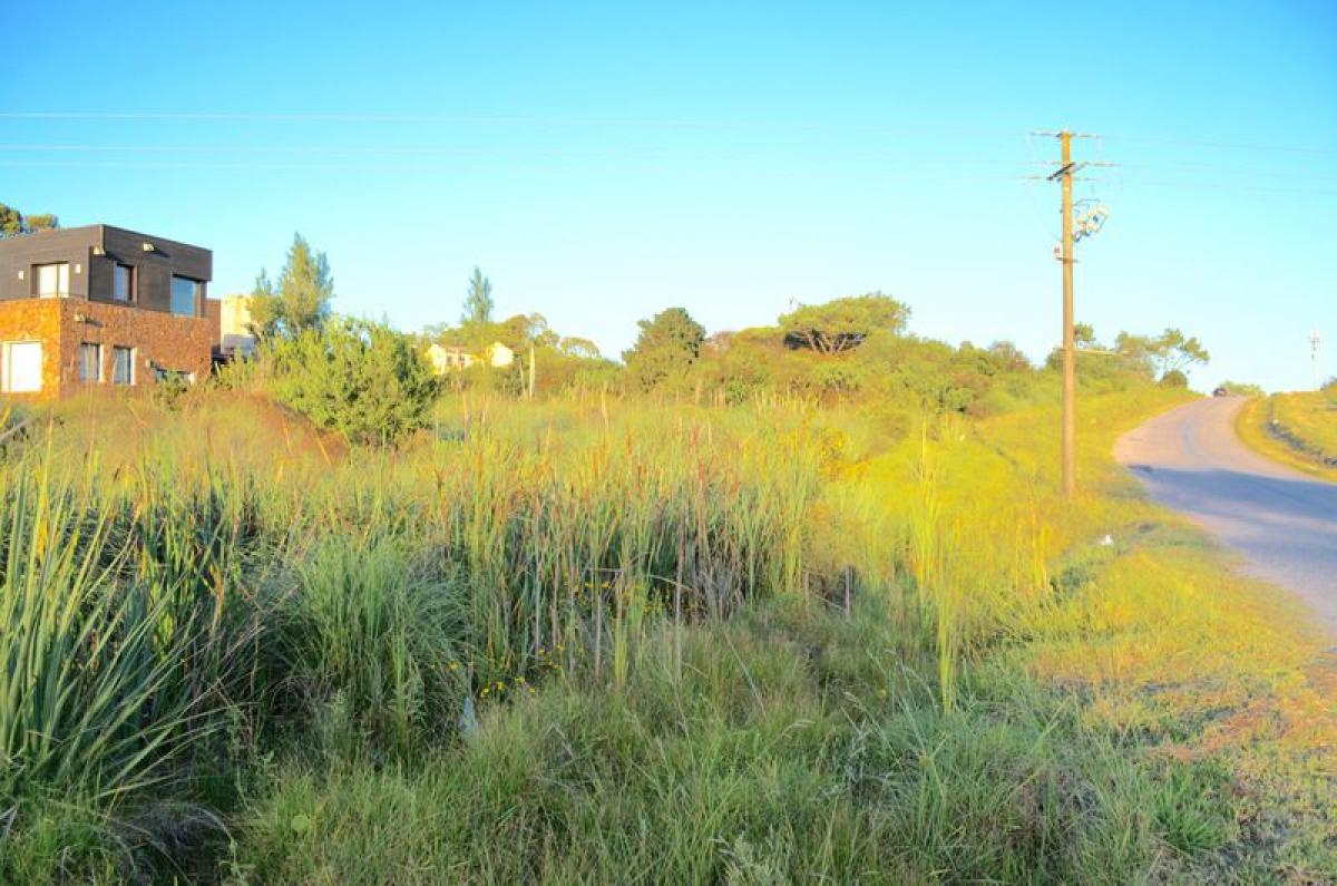  Land in Maldonado, Uruguay No. 13886