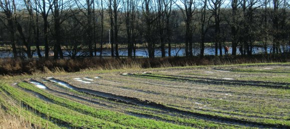 5 bedrooms Townhouse in Schleswig-Holstein, Germany No. 57150 2