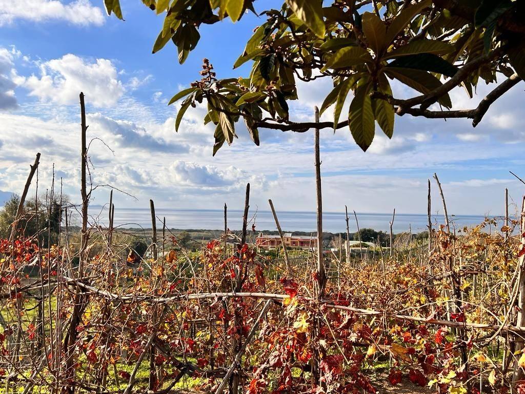 2-Zimmer Villa in Bacoli, Italy, Nr. 27866