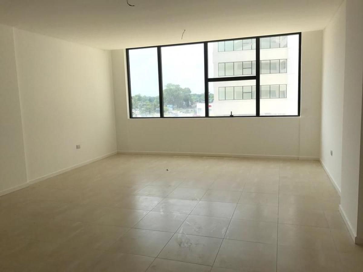  Office in Tigre, Argentina No. 24565