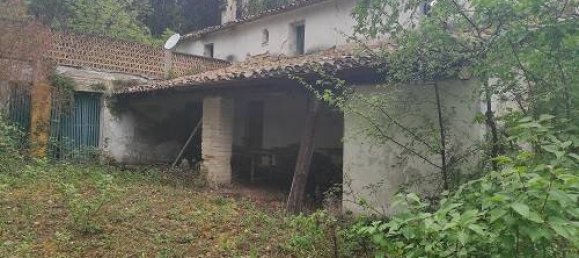 4 Schlafzimmer Villa in Pesaro, Italy, Nr. 77245 2