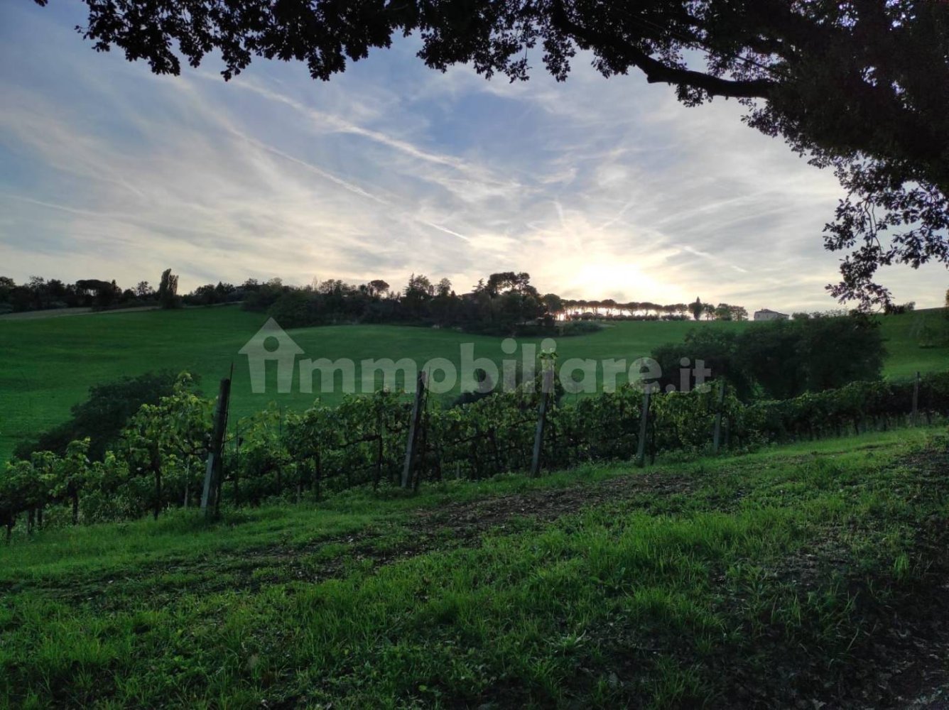 4 Schlafzimmer Villa in Pesaro, Italy, Nr. 77245