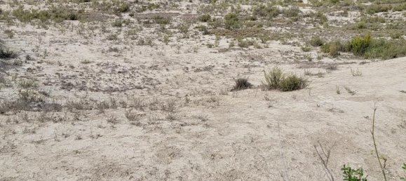  Land in Torremendo, Spain No. 189135 6