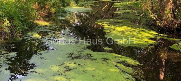 Grundstück in Oberhavel, Germany, Nr. 13157 16