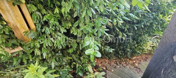 Grundstück in Oberhavel, Germany, Nr. 13157 13